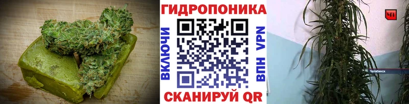Еда ТГК марихуана  ОМГ ОМГ ТОР  Чита 