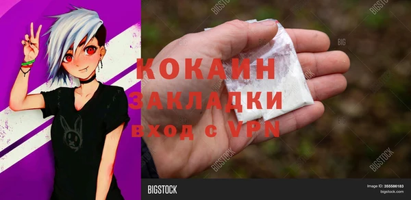 дживик Богородицк