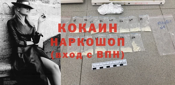 дживик Богородицк