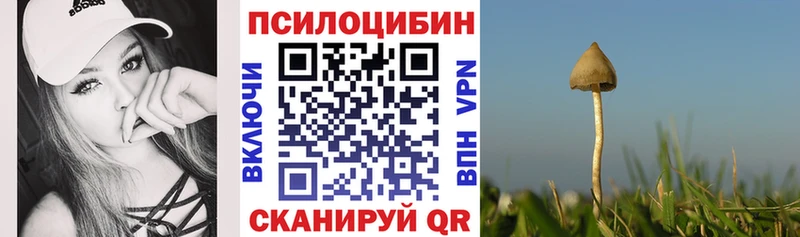 Галлюциногенные грибы ЛСД Чита